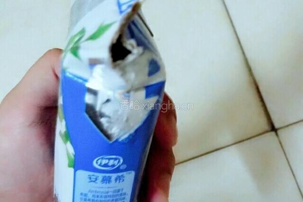 西瓜奶昔（白里透红与众不同）的做法图解5