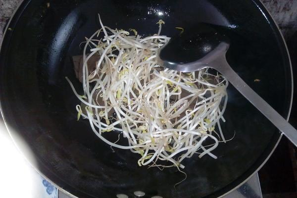 猪血炒豆芽的做法图解7