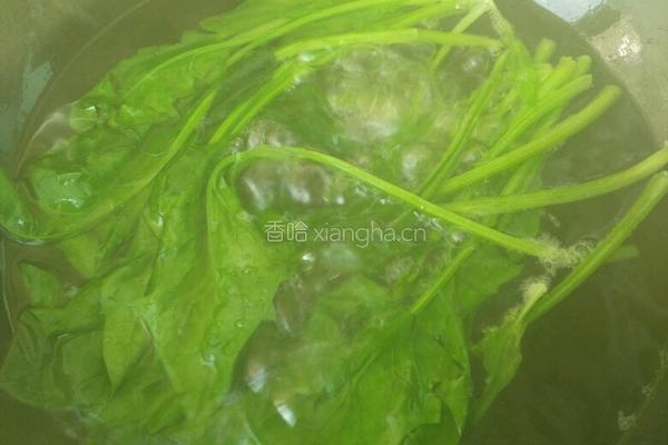 菠菜水饺的做法图解1
