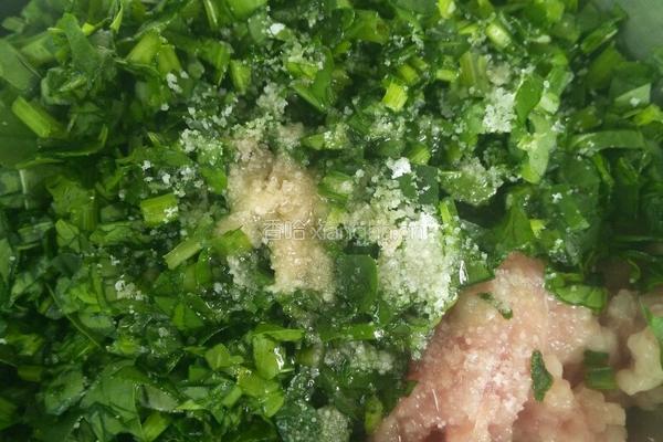 菠菜水饺的做法图解6