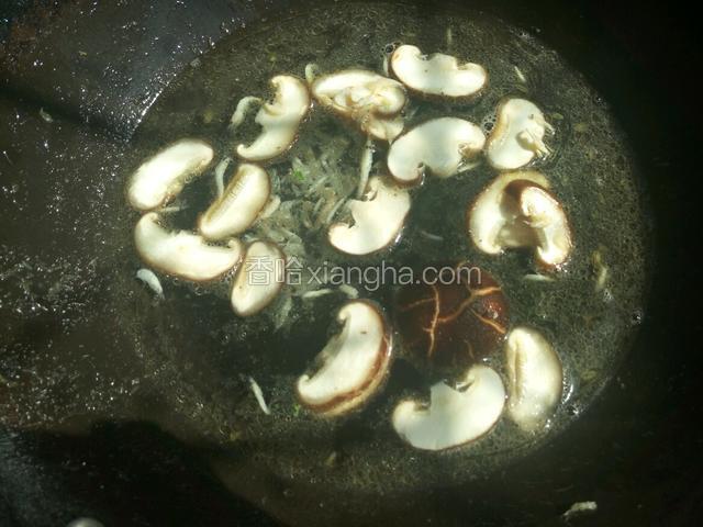 油烧热加入半锅水 放花菇片和虾皮同煮