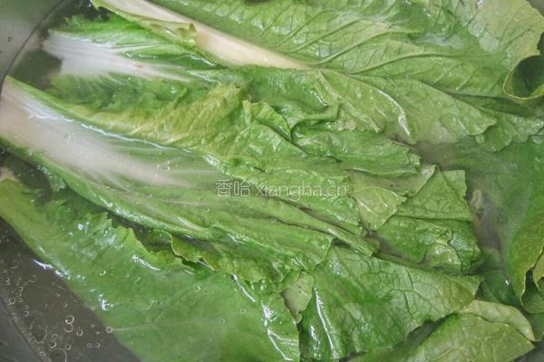香菇豆腐馅包子的做法图解4