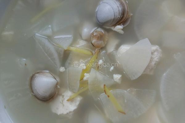 蛤蜊豆腐萝卜汤的做法图解8