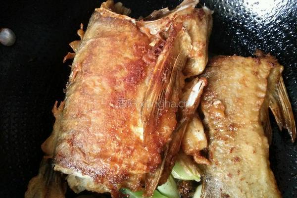 家炖白鲢鱼的做法图解7