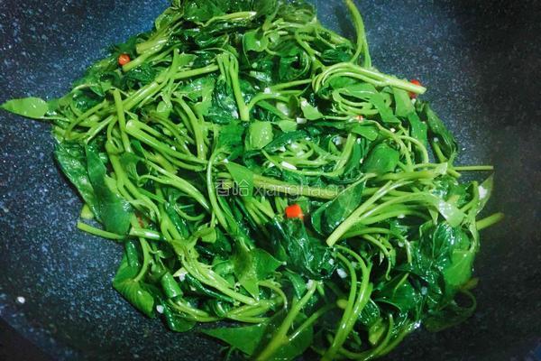 蒜蓉红薯叶的做法图解4