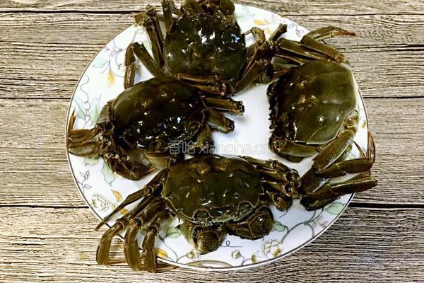 清蒸大闸蟹的做法图解2