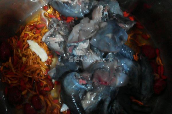虫草乌鸡汤的做法图解3