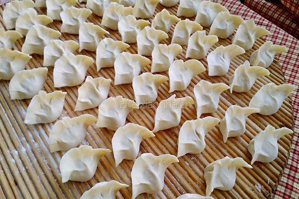 胡萝卜猪肉饺子的做法图解13