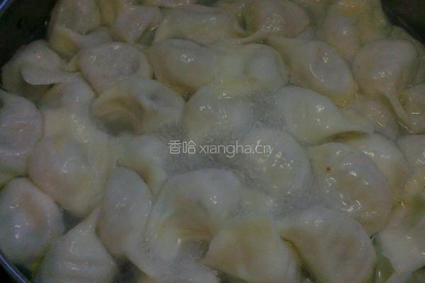 胡萝卜猪肉饺子的做法图解14