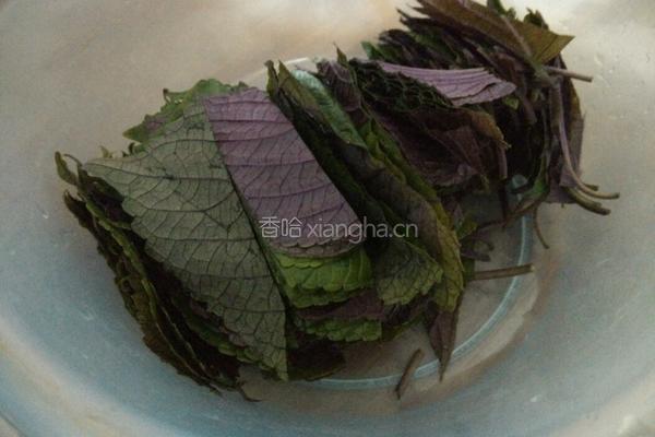 拌苏子叶的做法图解2