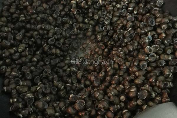 炒石螺的做法图解4