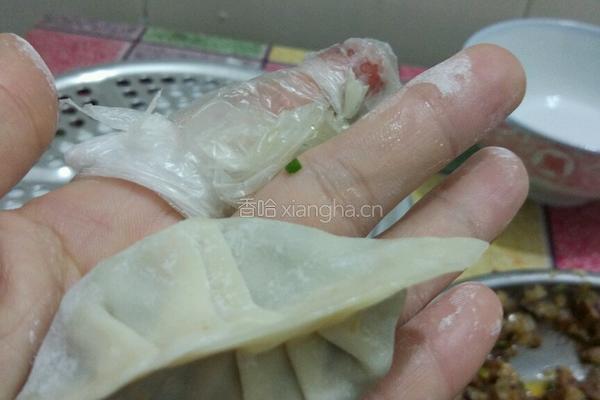 番茄牛肉馅饺子的做法图解8