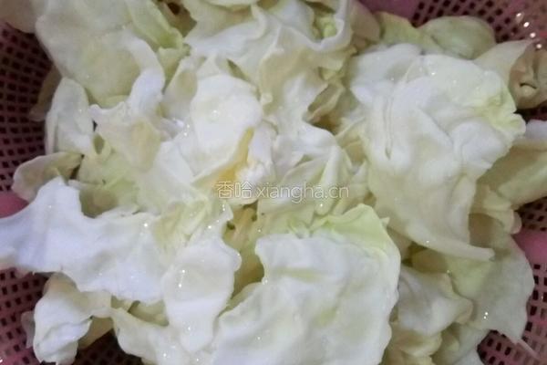 素炒圆白菜的做法图解1