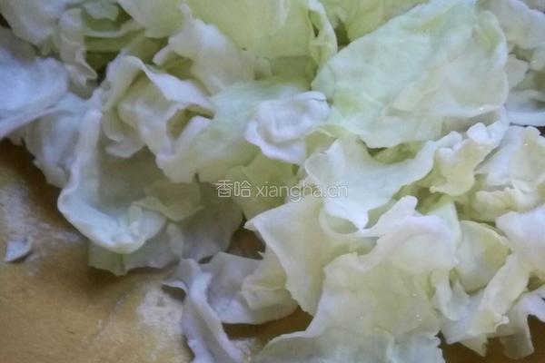 素炒圆白菜的做法图解5
