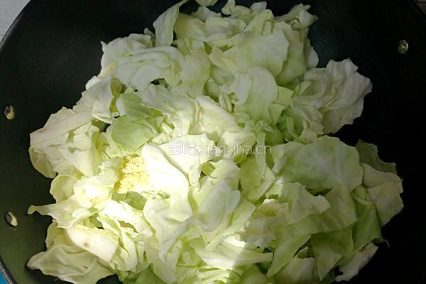 干锅手撕包菜的做法图解5