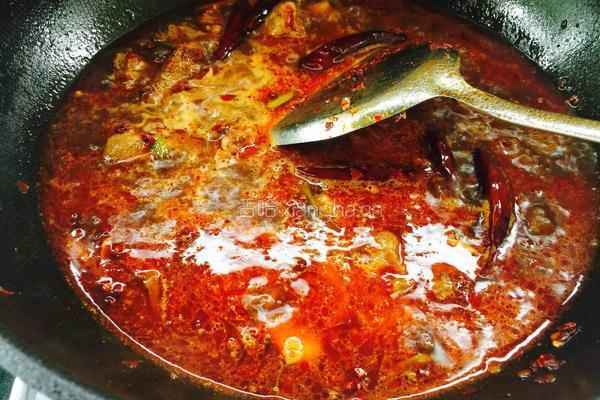 川味土豆炖牛腩的做法图解9