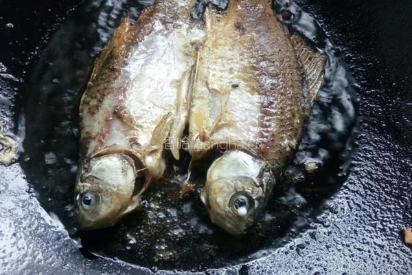 鲫鱼豆腐汤的做法图解7