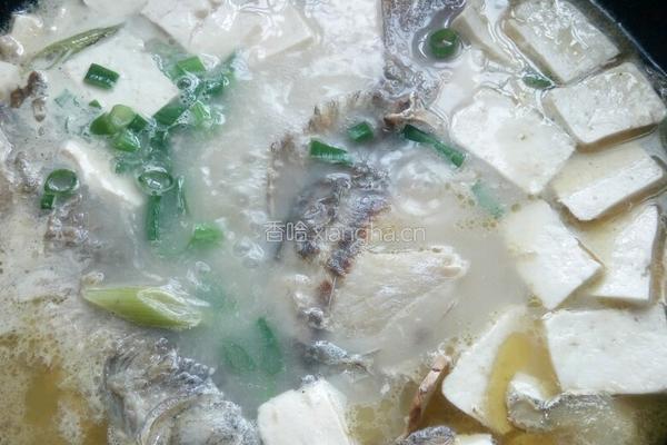 鲫鱼豆腐汤的做法图解11