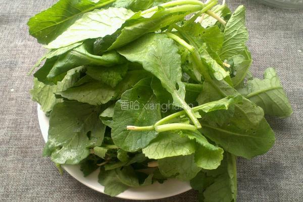 凉拌萝卜樱子的做法图解1