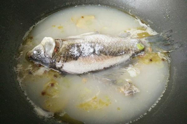 野生鲫鱼汤的做法图解7