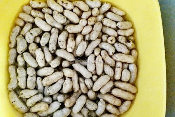 盐水小菜的做法图解4