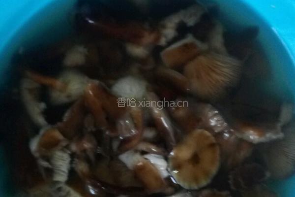 蘑菇火腿小白菜的做法图解2