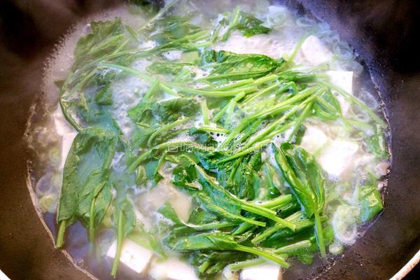 菠菜豆腐的做法图解6