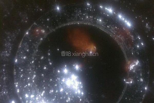 腌肉的做法图解14