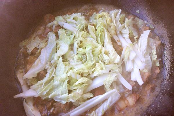 红烧肉炖白菜粉条的做法图解10