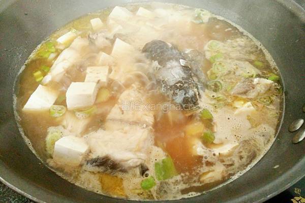 垮炖鲜鱼豆腐的做法图解8
