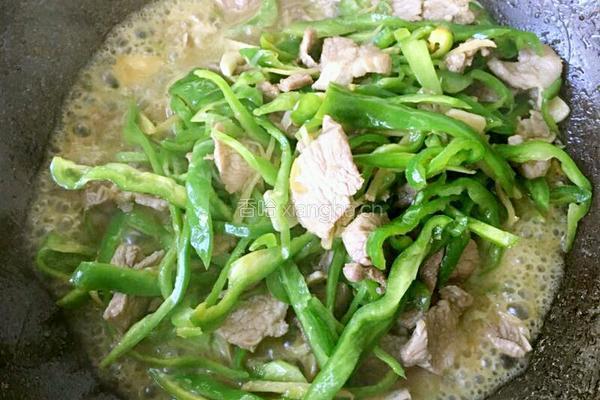 青椒小炒肉的做法图解8