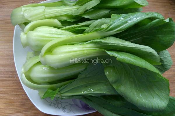 清炒青菜的做法图解2