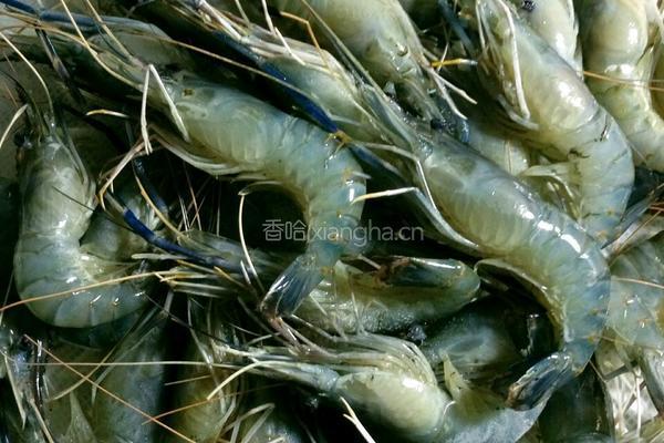 泰式甜辣虾的做法图解1