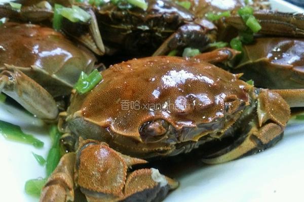 原味螃蟹的做法图解8