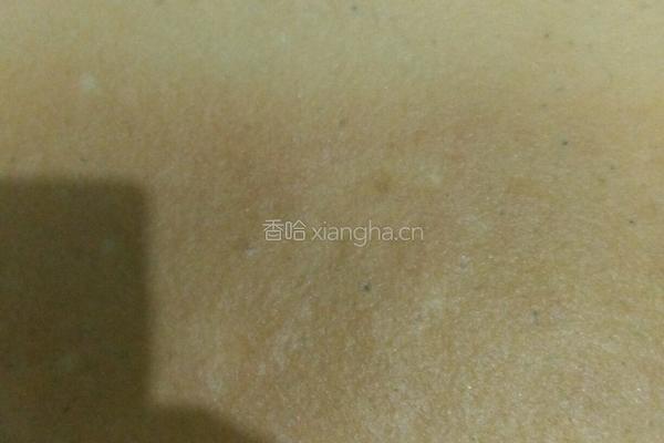 绿茶蛋糕的做法图解11
