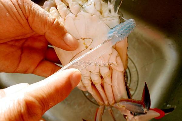 锡纸烤蟹的做法图解2