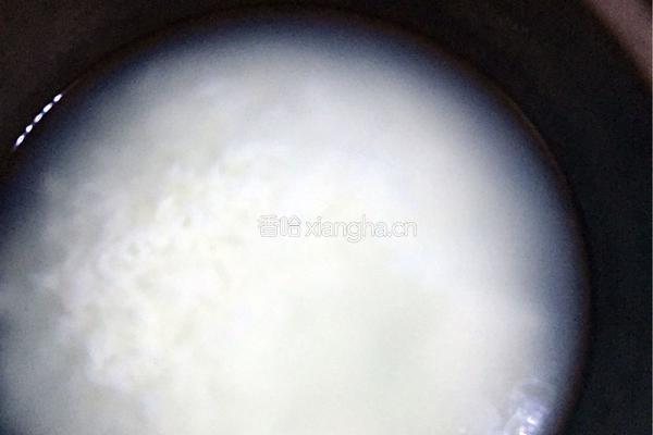 鲜虾干贝粥的做法图解3