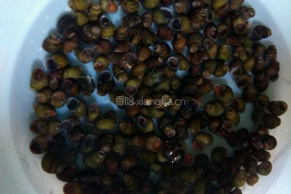 葱油泥螺的做法图解1