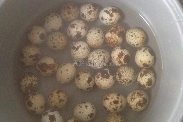水煮鹌鹑蛋的做法图解1