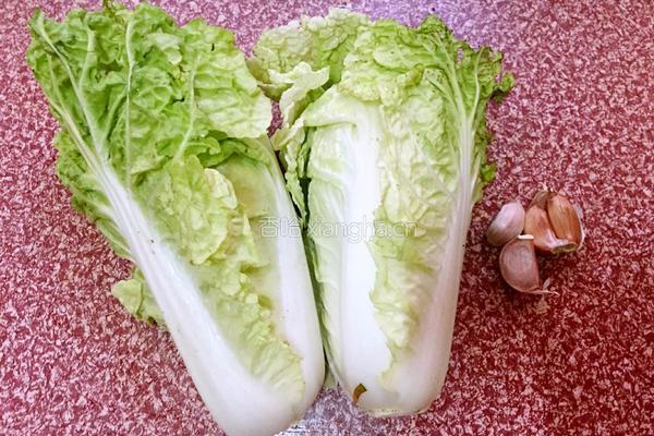 清炒奶白菜的做法图解1