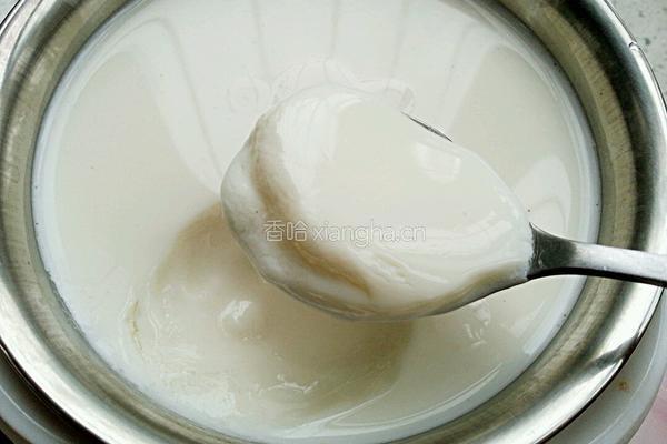 自制酸奶的做法图解12