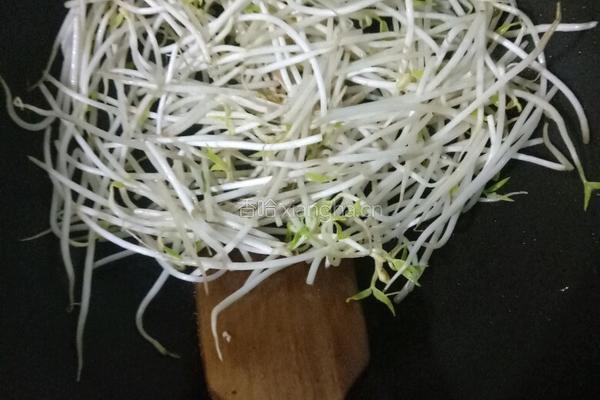豆腐炒豆芽的做法图解6