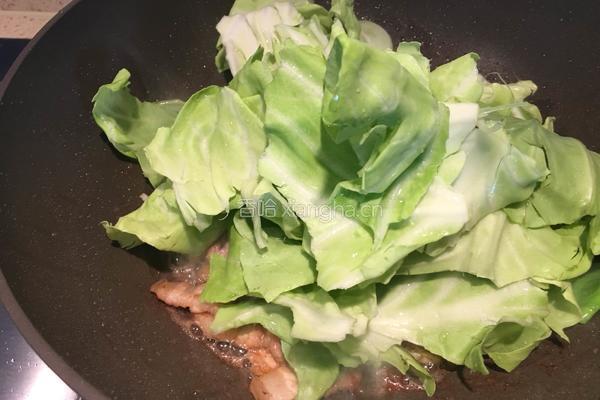 五花肉炒包菜的做法图解7