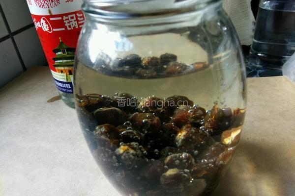 龙眼酒的做法图解8