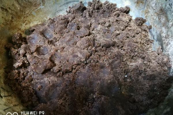 咖啡花朵饼干的做法图解2