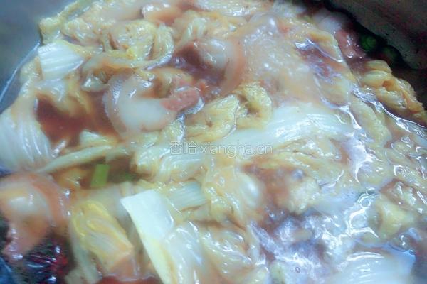 白菜粉条的做法图解9