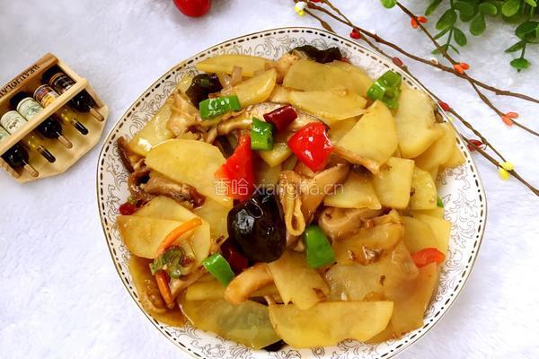 榛蘑炒土豆片的做法图解6