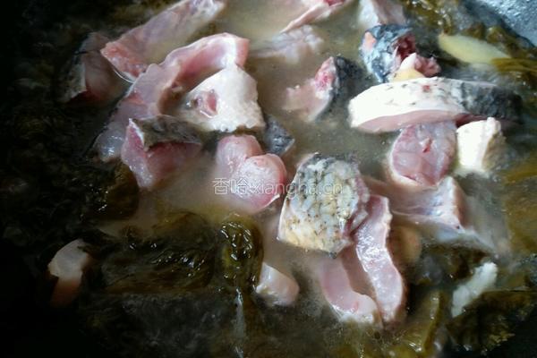 酸菜鲤鱼的做法图解8
