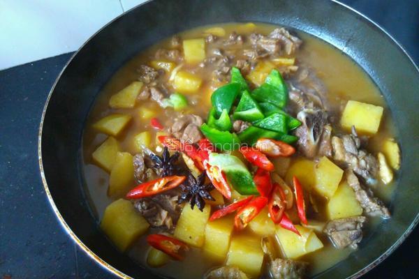 土豆炖鹅肉的做法图解8