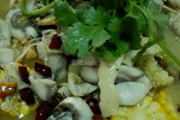 自制水煮菜脯鱼的做法图解10